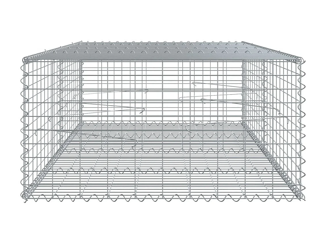 Gabione mit Deckel 200x100x50 cm Verzinktes Eisen
