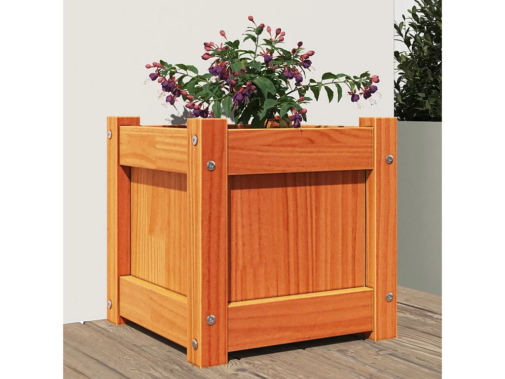 Plantenbak 31x31x31 cm massief grenenhout wasbruin