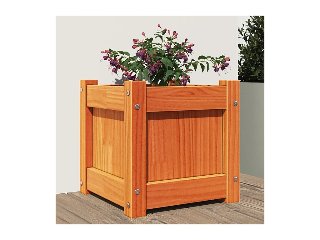 Fioriera Giardino Marrone Cera 31x31x31 cm Legno Massello Pino