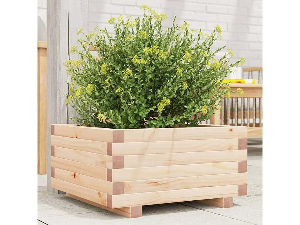 Pflanzkübel 50x50x26,5 cm Massivholz Kiefer