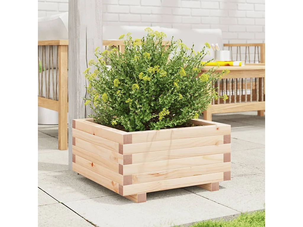 Pflanzkübel 50x50x26,5 cm Massivholz Kiefer