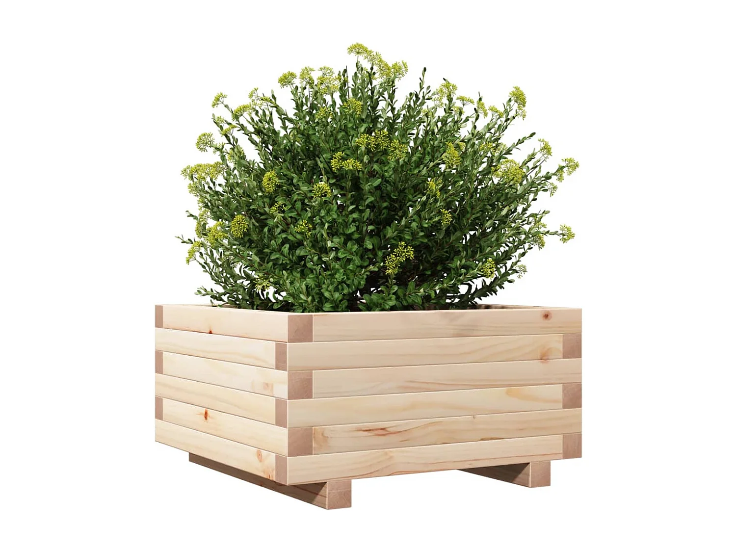 Pflanzkübel 50x50x26,5 cm Massivholz Kiefer