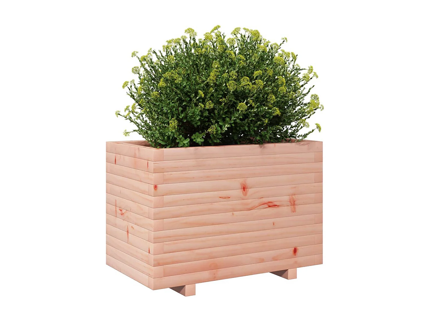 Jardinière 70x40x49,5 cm bois massif de douglas