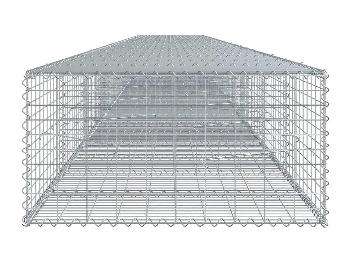 Panier gabion avec couvercle 1100x100x50 cm fer galvanisé