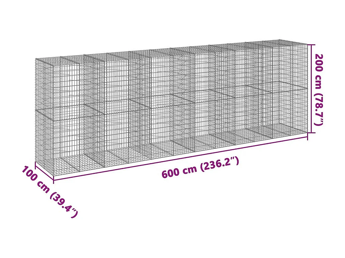 Gabione mit Deckel 600x100x200 cm Verzinktes Eisen