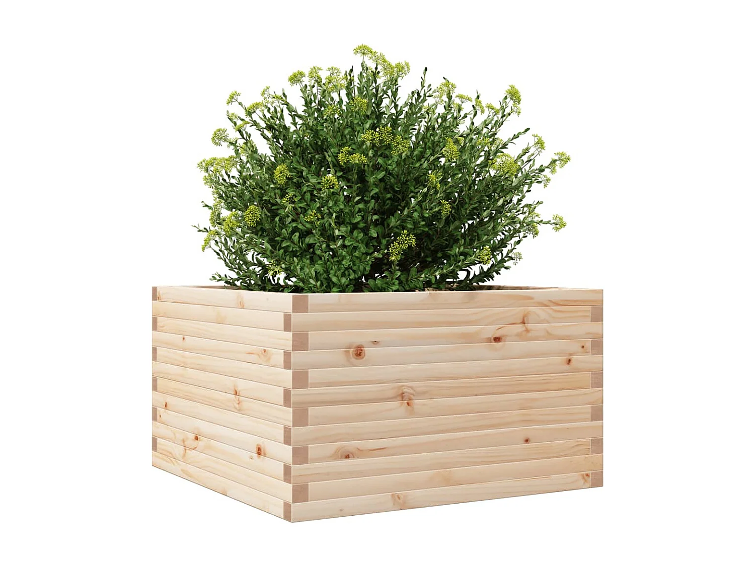 Plantenbak 80x80x46 cm massief grenenhout