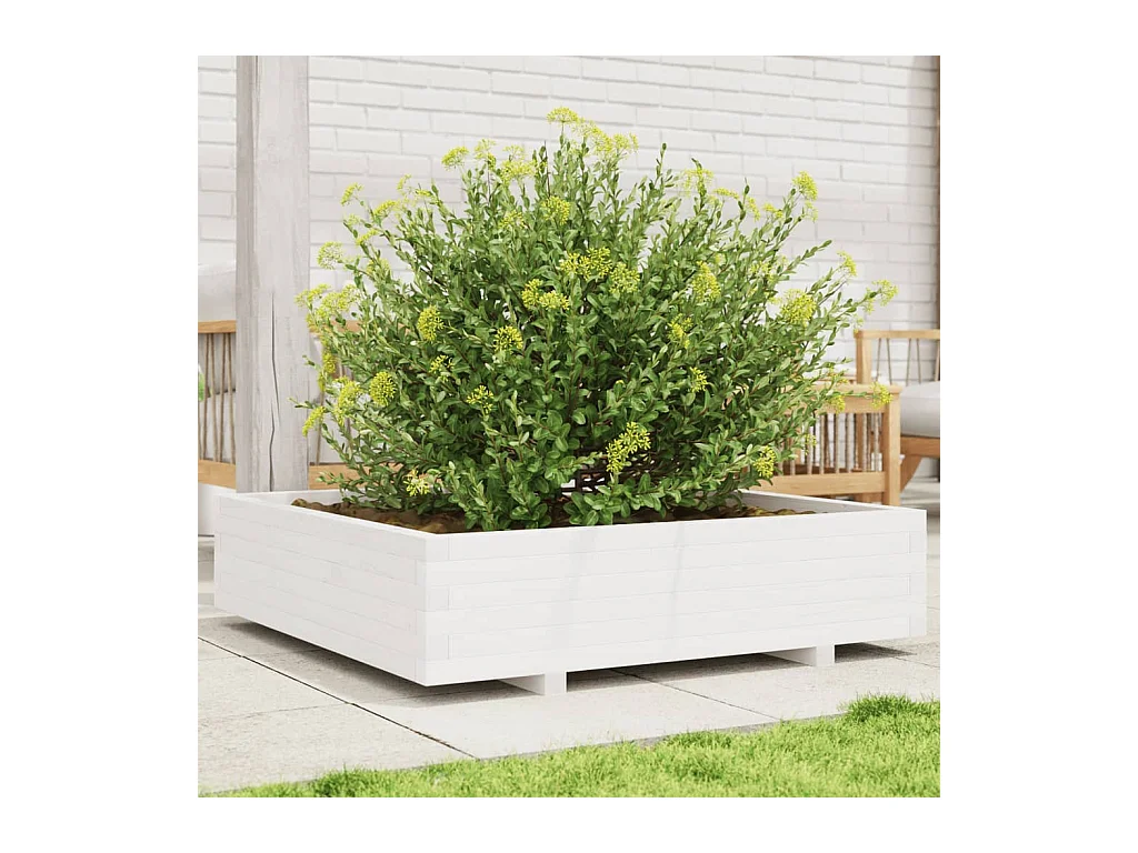 Fioriera da Giardino Bianca 100x100x26,5cm Legno Massello Pino