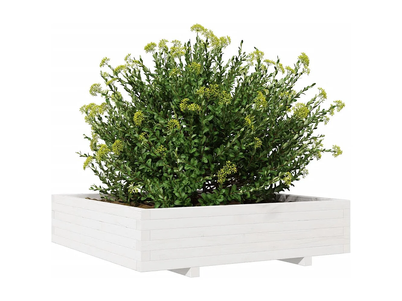 Jardinière blanc 100x100x26,5 cm bois de pin massif