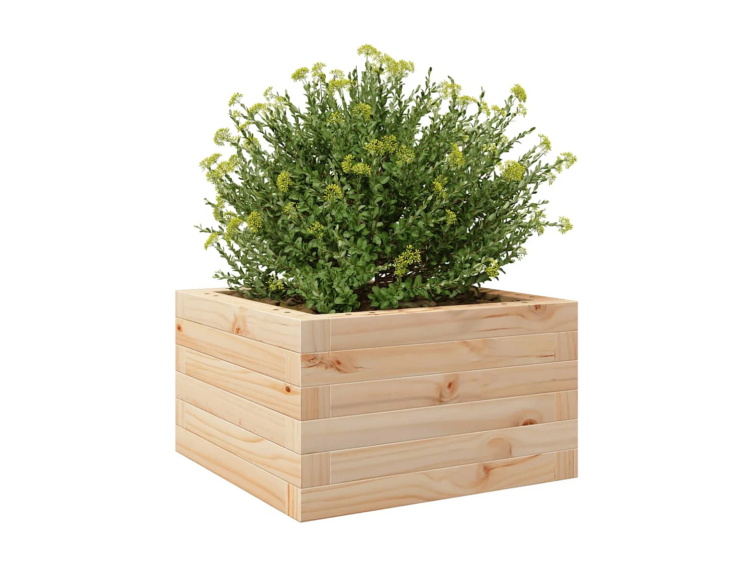 Fioriera da Giardino 40x40x23 cm in Legno Massello di Pino