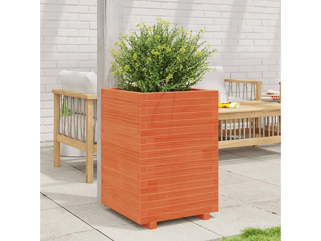 Jardinera madera maciza de pino marrón cera 50x50x72,5 cm