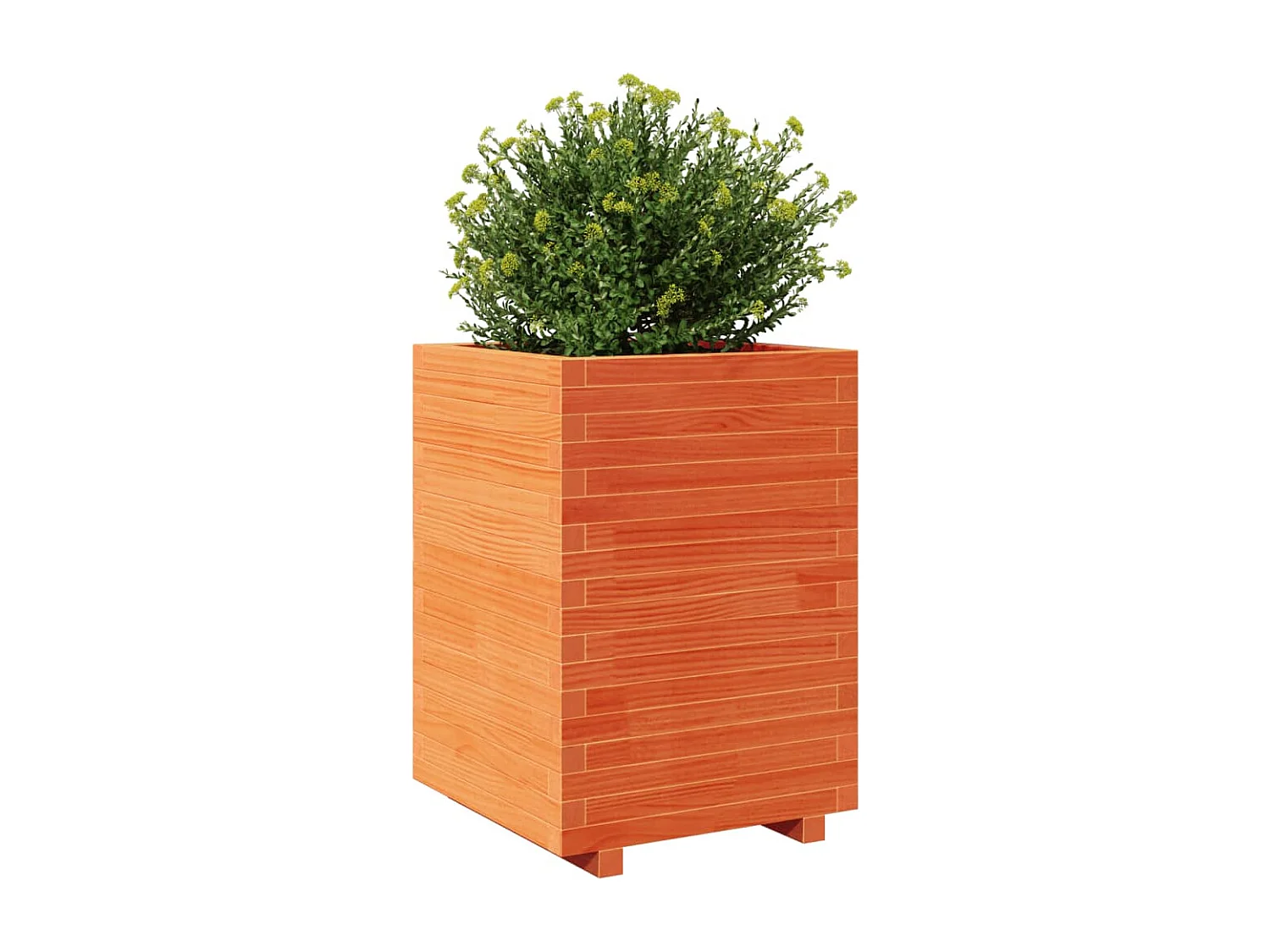 Jardinera madera maciza de pino marrón cera 50x50x72,5 cm