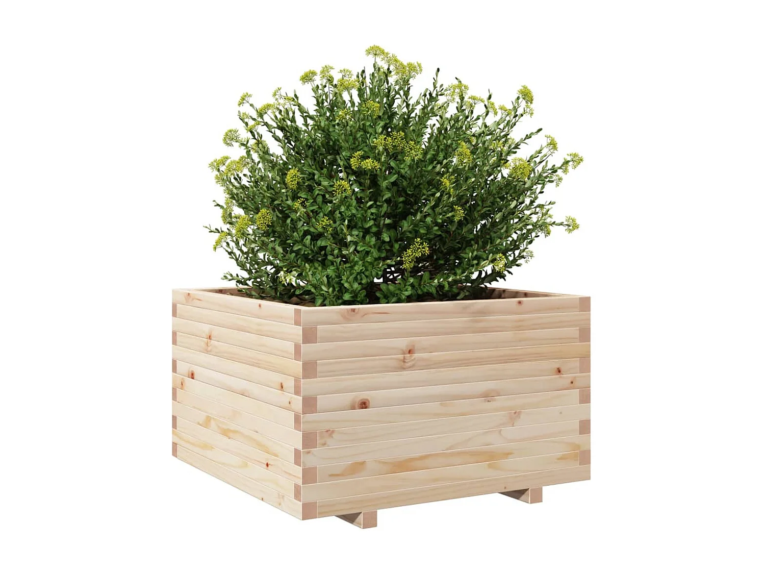 Fioriera da Giardino 80x80x49,5 cm in Legno Massello di Pino
