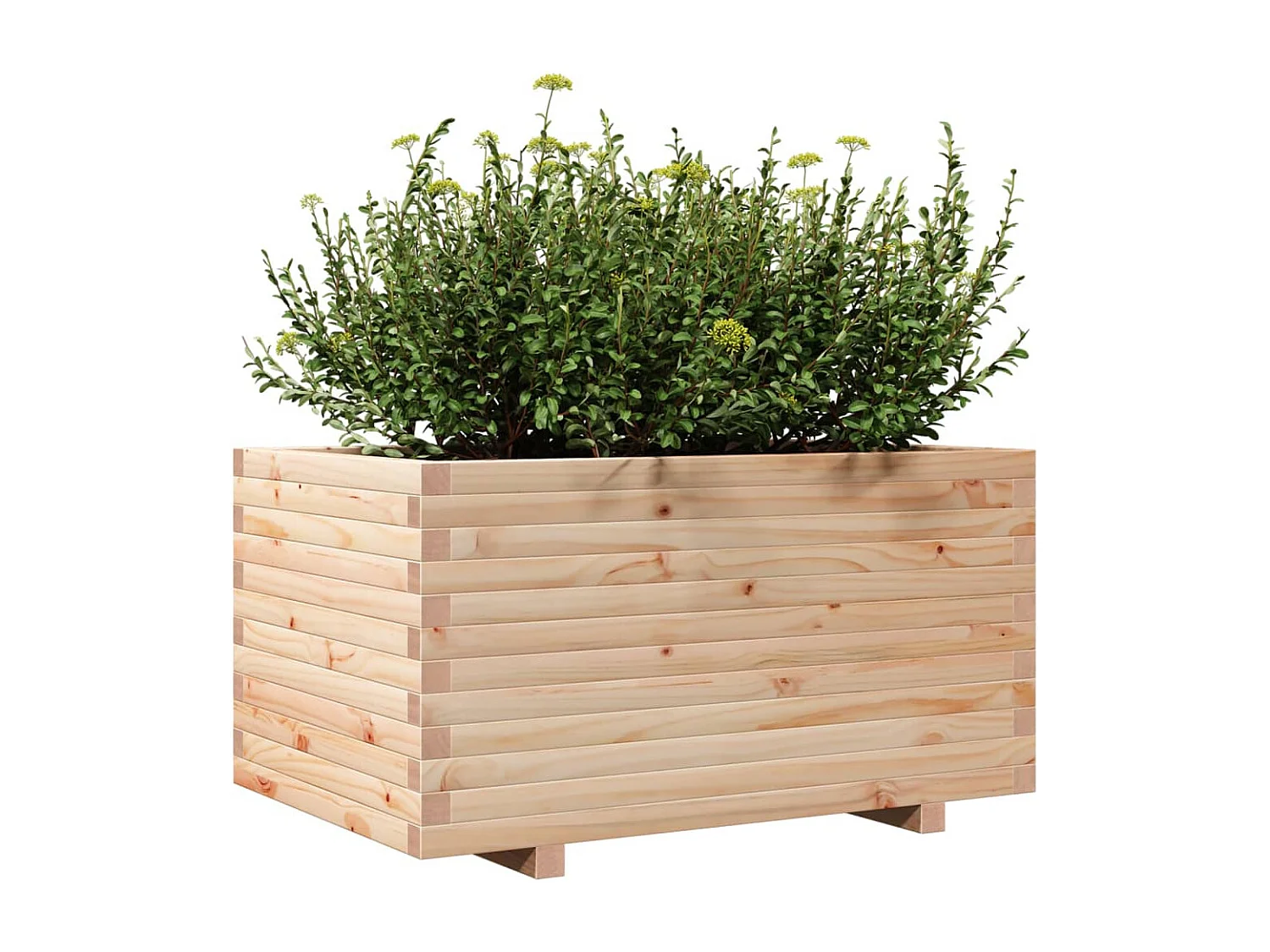 Vaso/floreira de jardim 90x60x49,5 cm madeira de pinho maciça