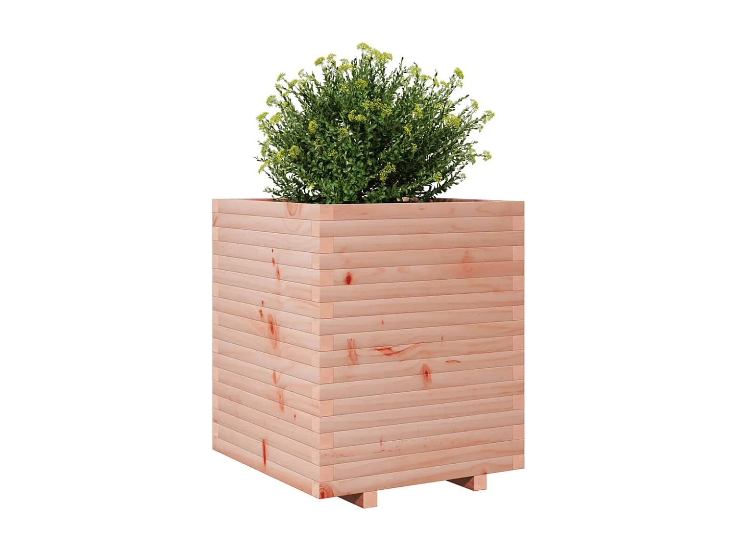 Jardinière 60x60x72 cm bois massif douglas