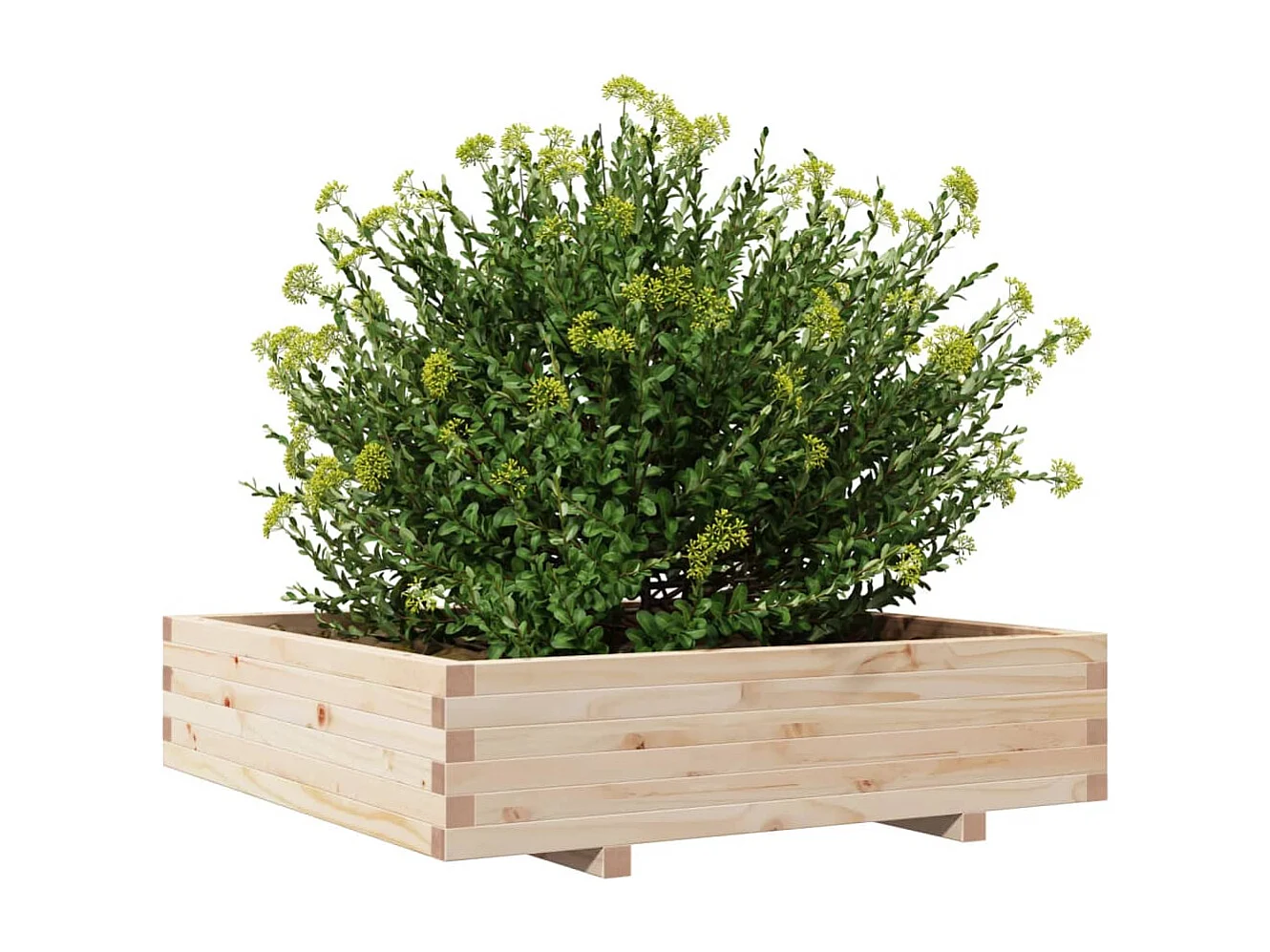 Jardinière 100x100x26,5 cm bois de pin massif