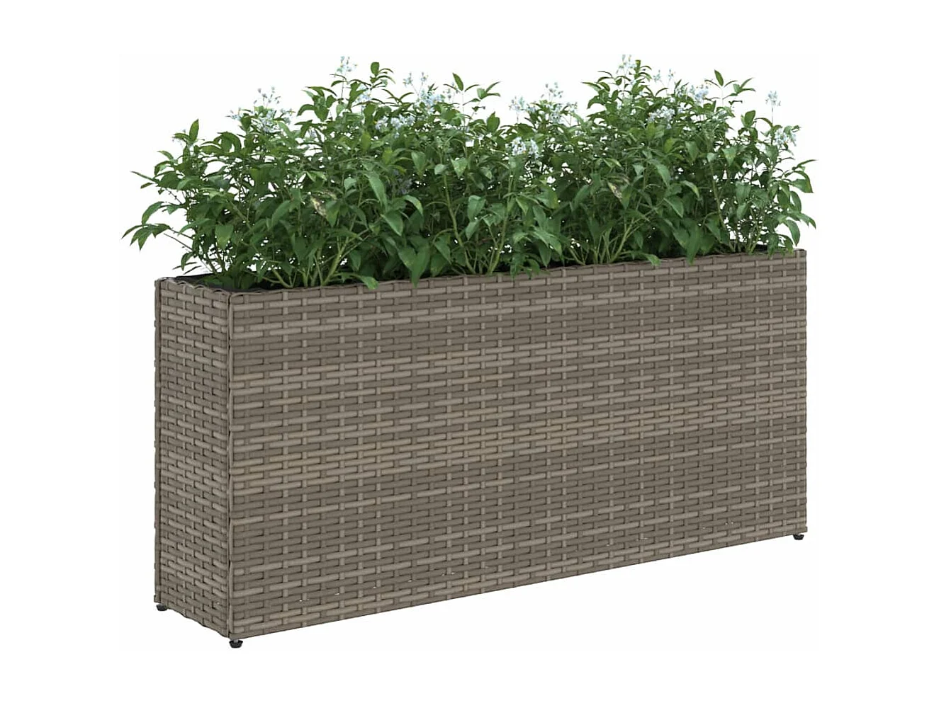 Hochbeet mit 2 Fächern Grau 90x20x40 cm Poly Rattan