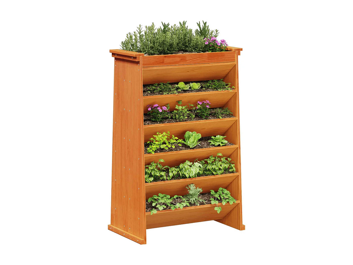 Jardinière de plantes aromatiques 6 niveaux bois de pin massif