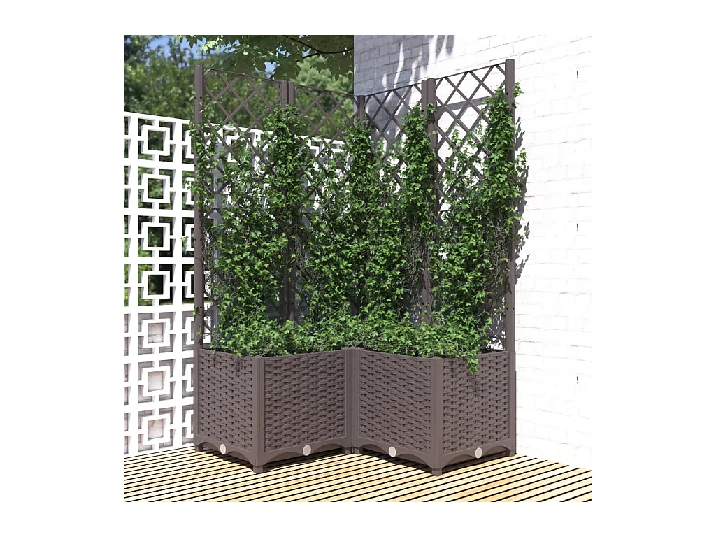 Jardinière avec treillis Marron 80x80x136 cm PP