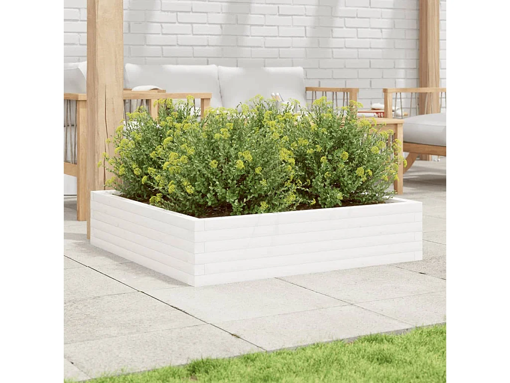 Jardinière blanc 100x100x23 cm bois de pin massif