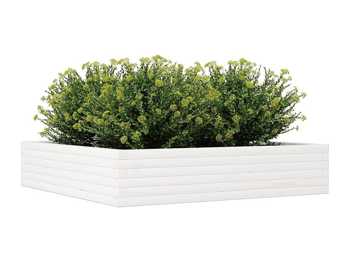 Jardinière blanc 110x110x23 cm bois de pin massif