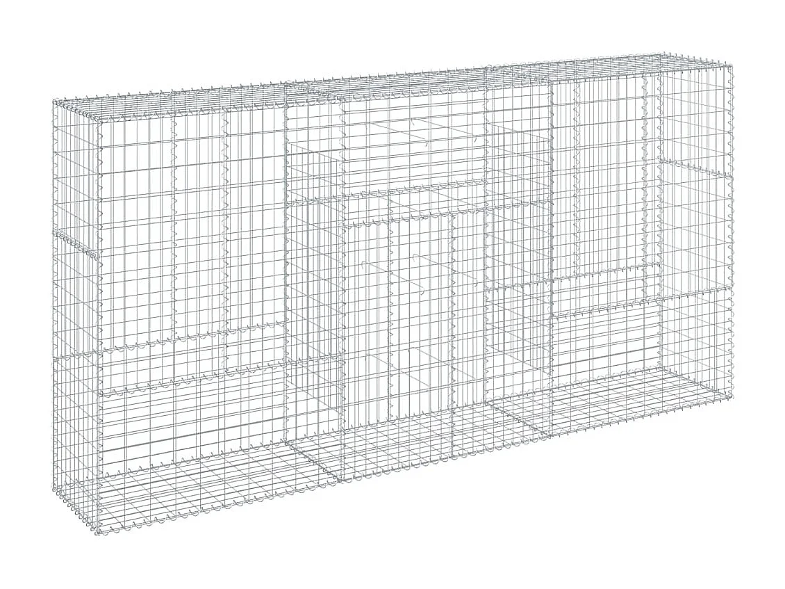 Panier gabion avec couvercle 300x50x150 cm fer galvanisé