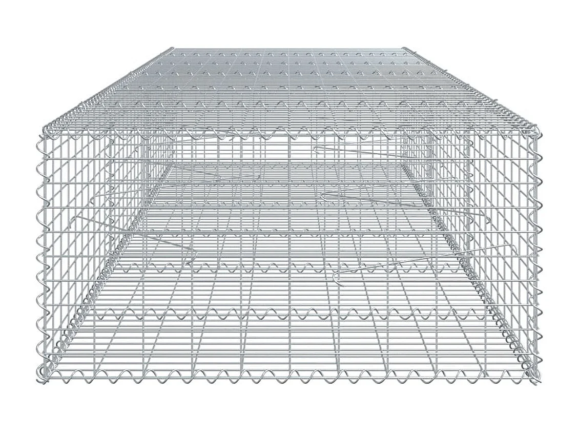 Panier gabion avec couvercle 300x100x50 cm fer galvanisé