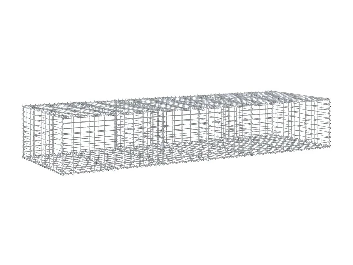 Panier gabion avec couvercle 300x100x50 cm fer galvanisé