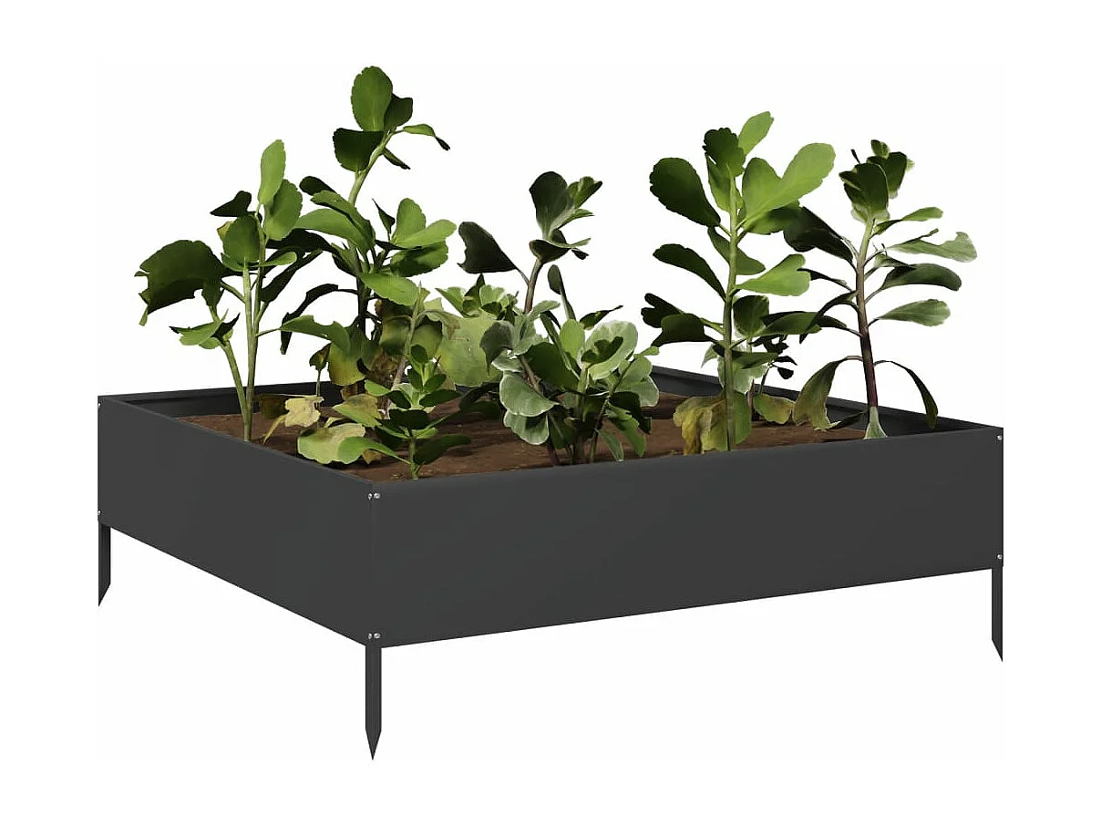 Lit surélevé de jardin noir 100x100x33,5 cm acier