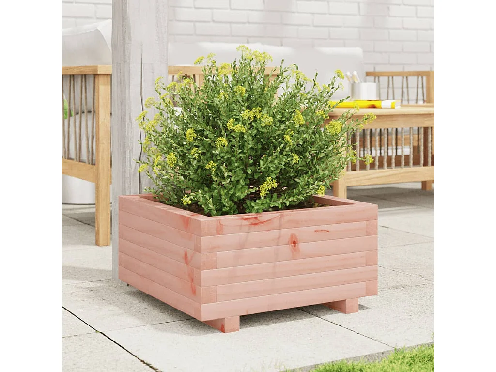 Pflanzkübel 50x50x26,5 cm Massivholz Douglasie