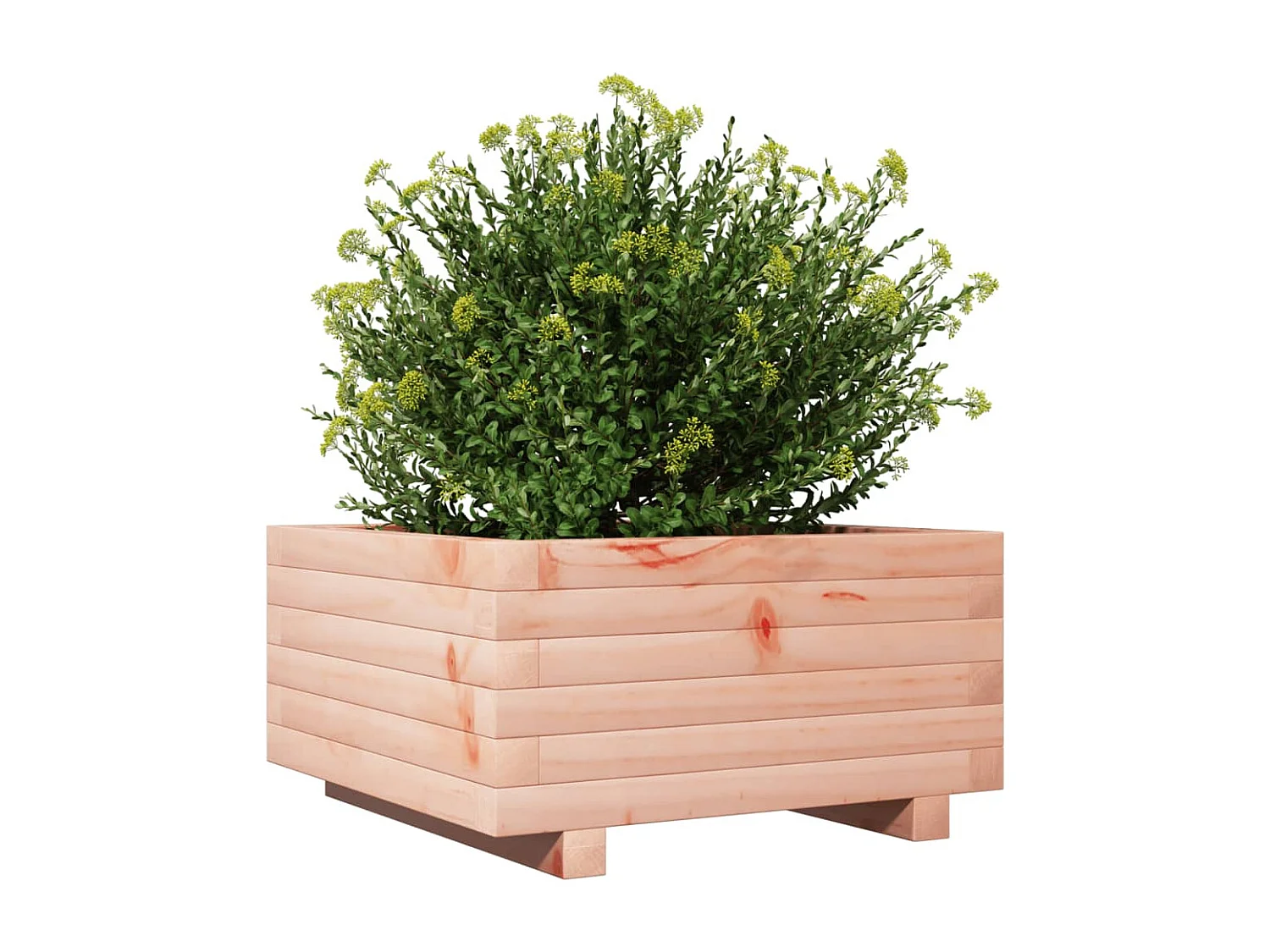 Pflanzkübel 50x50x26,5 cm Massivholz Douglasie