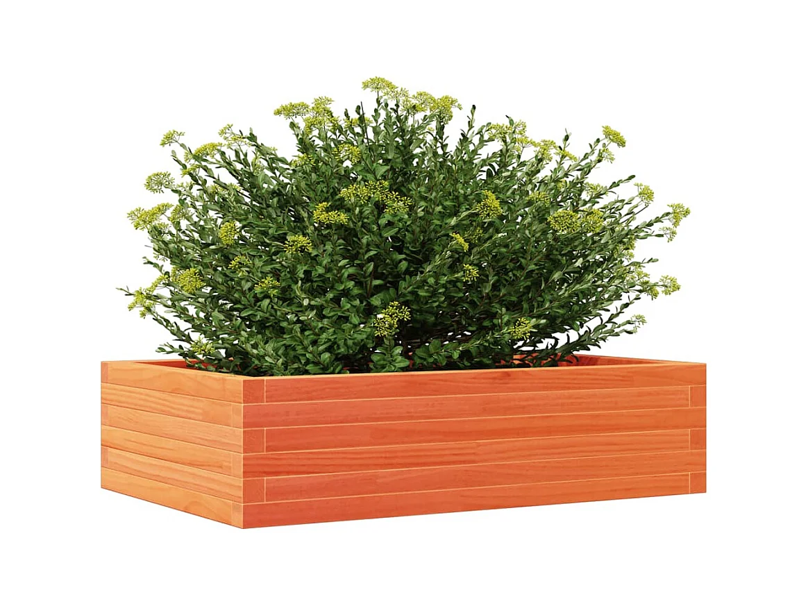 Plantenbak 90x60x23 cm massief grenenhout wasbruin