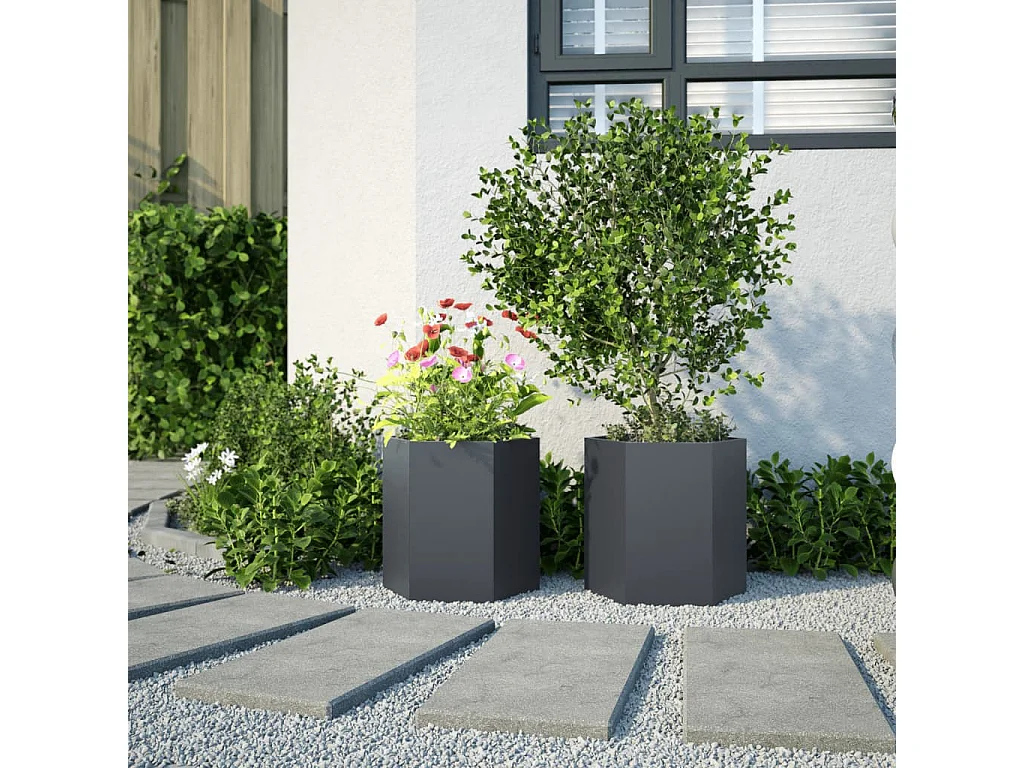 Fioriere da Giardino 2 pz Antracite Esagono 46x40x45 cm Acciaio