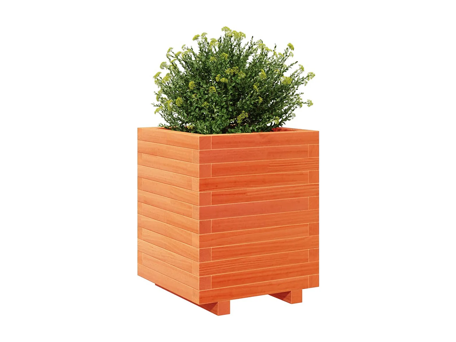 Jardinière cire marron 40x40x49,5 cm bois de pin massif