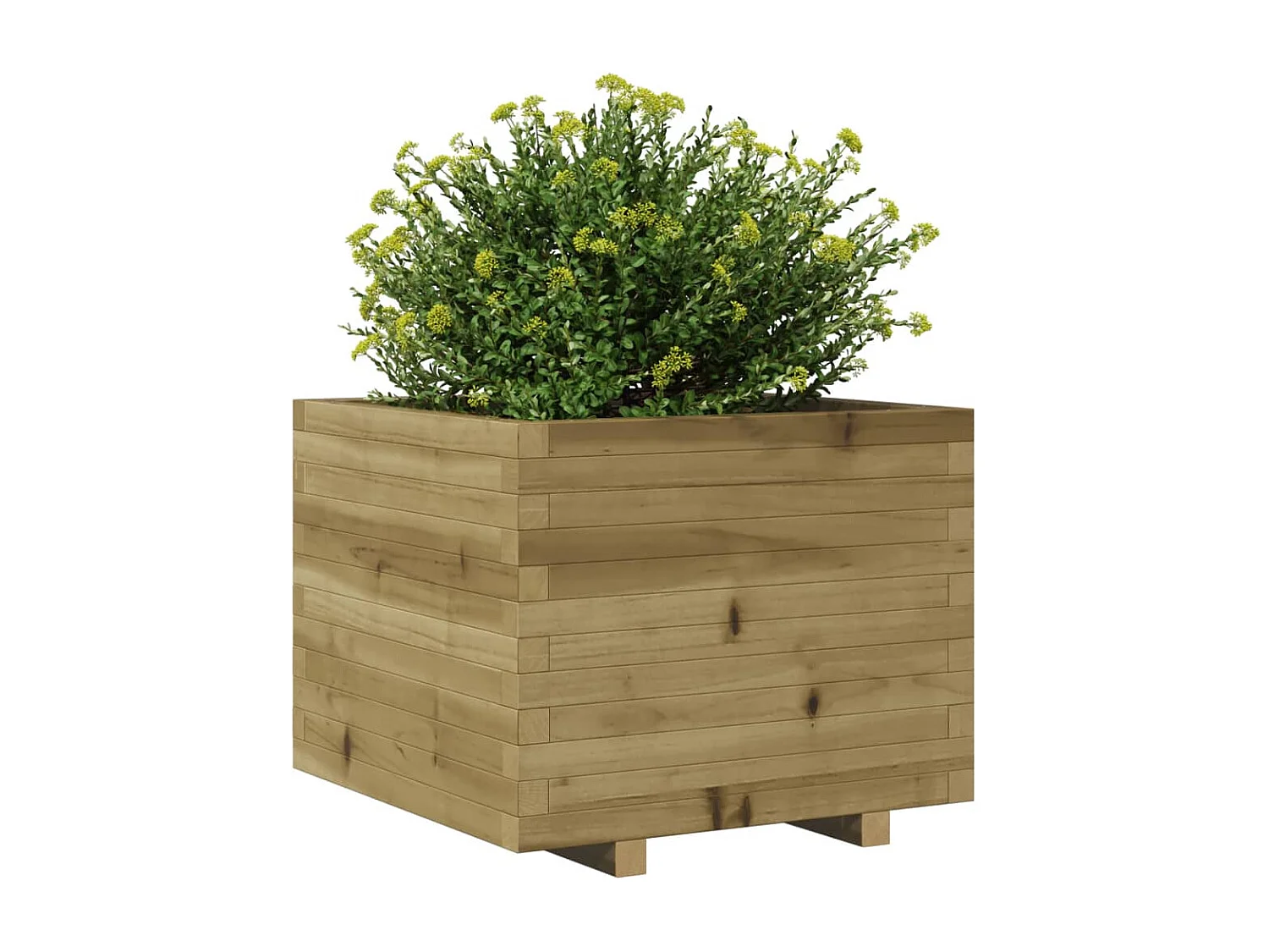 Jardinière 60x60x49,5 cm bois de pin imprégné