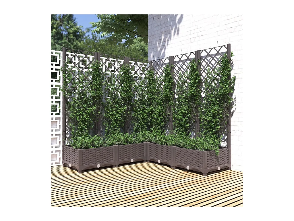 Jardinière avec treillis Marron 120x120x121,5 cm PP