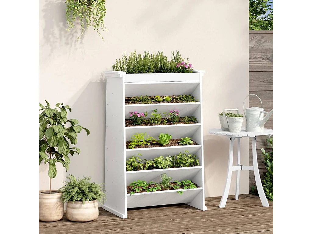 Jardinera hierbas 6 niveles madera maciza blanca 69x40x101,5 cm