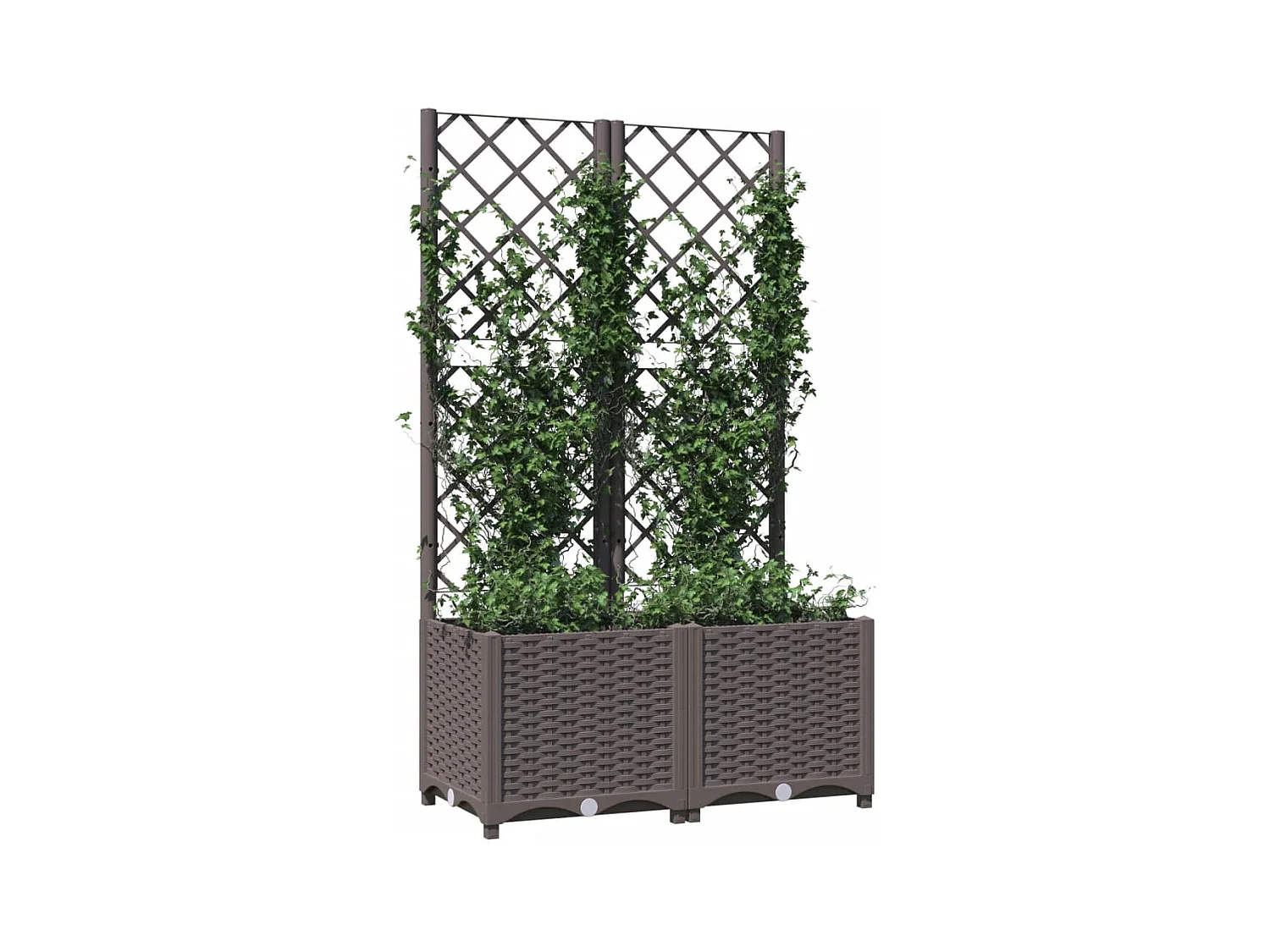 Fioriera da Giardino con Graticcio Marrone 80x40x136 cm in PP