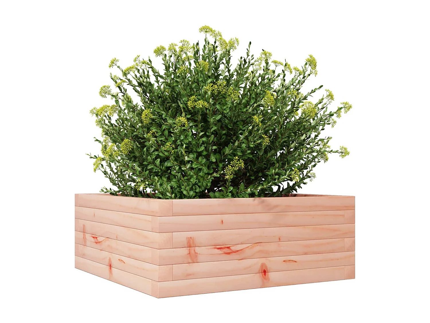 Jardinière 60x60x23 cm bois massif douglas