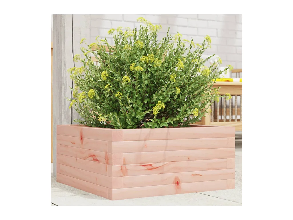 Jardinière 50x50x23 cm bois massif douglas