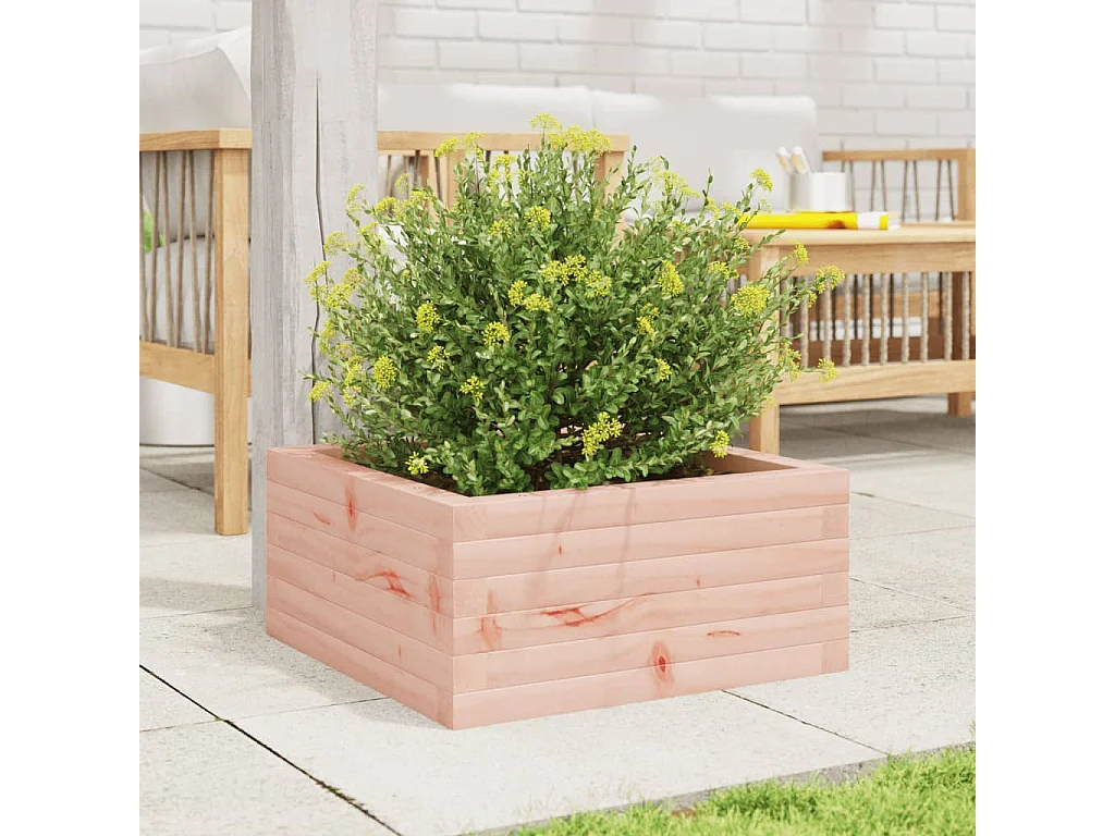 Fioriera da Giardino 50x50x23 cm in Legno Massello di Douglas