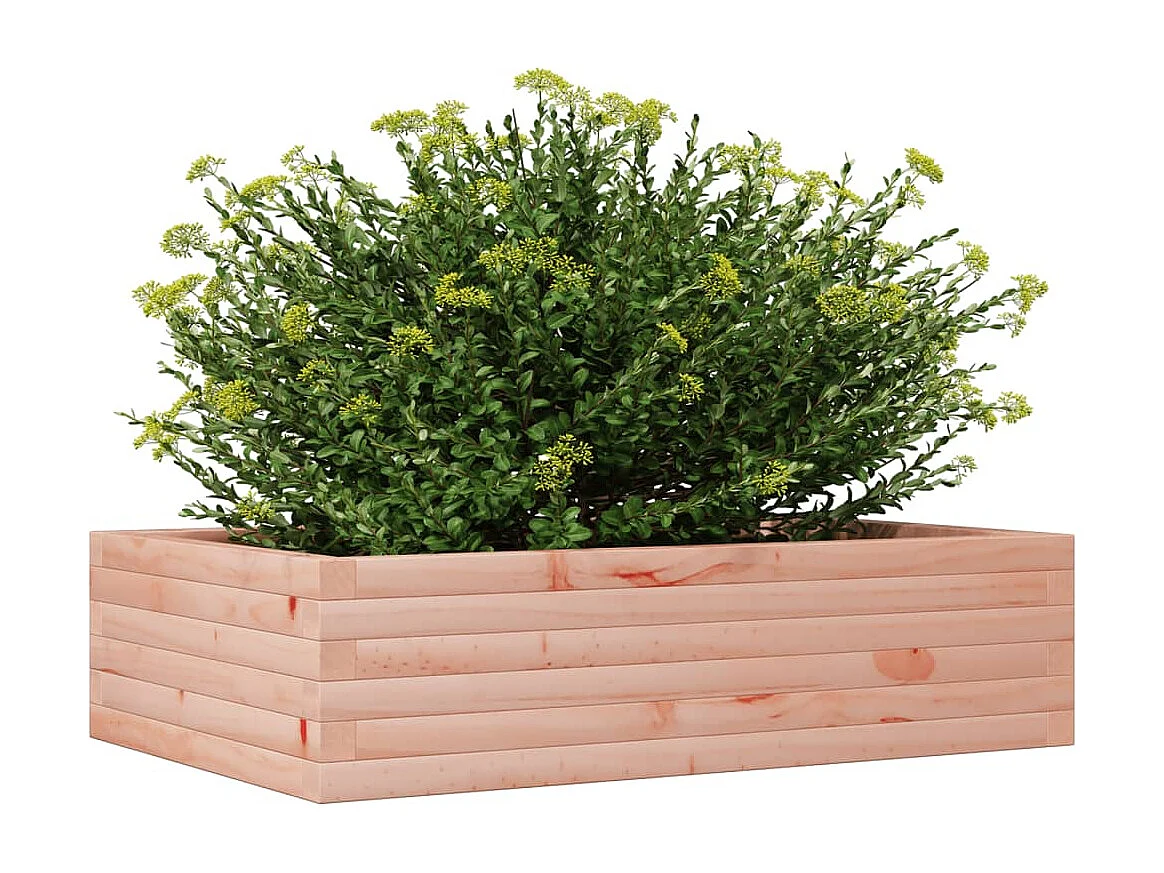 Jardinière 90x60x23 cm bois massif de douglas