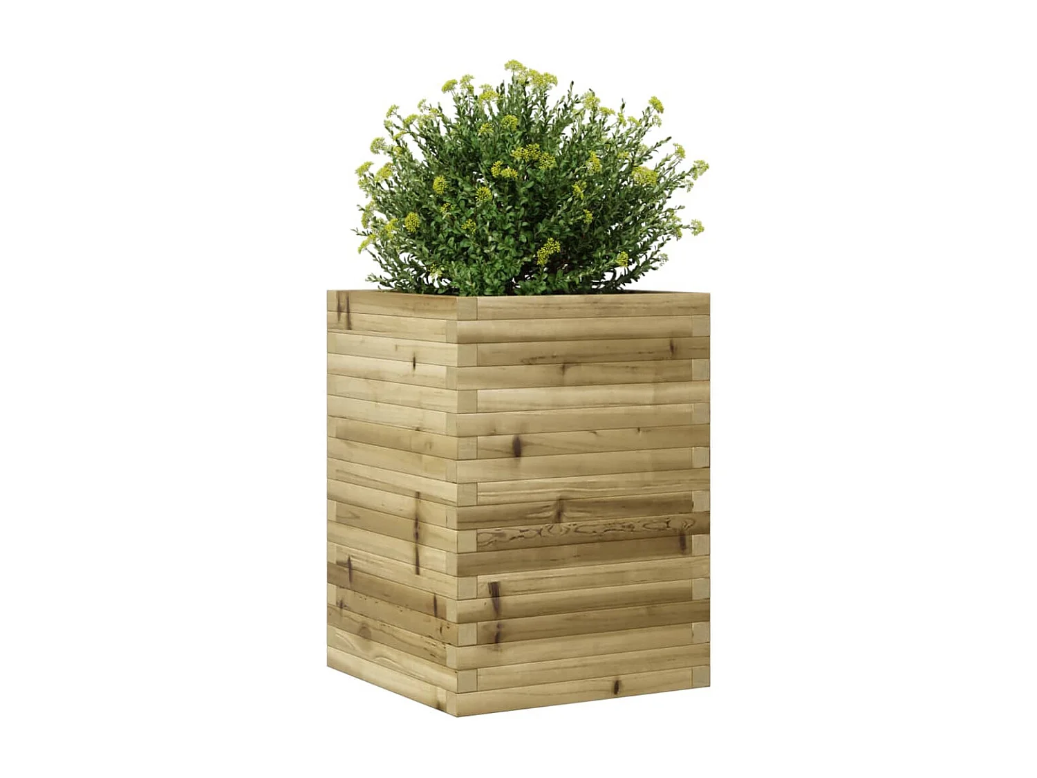 Jardinière 50x50x68,5 cm bois de pin imprégné