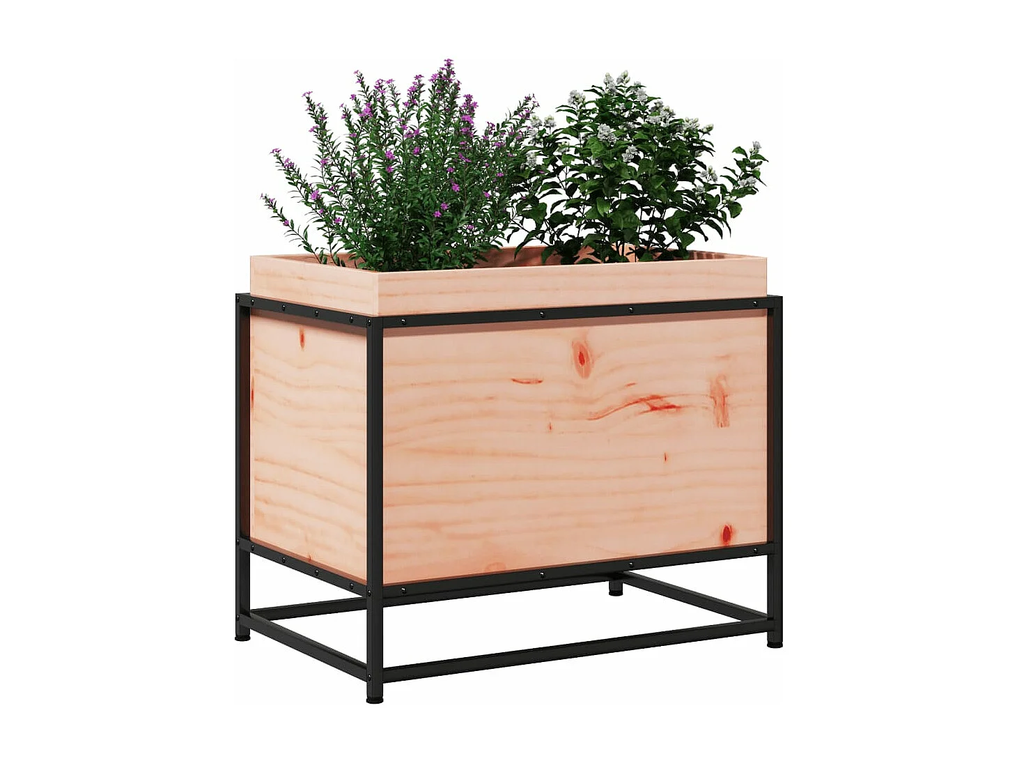 Jardinière 60x40x50 cm bois massif de douglas