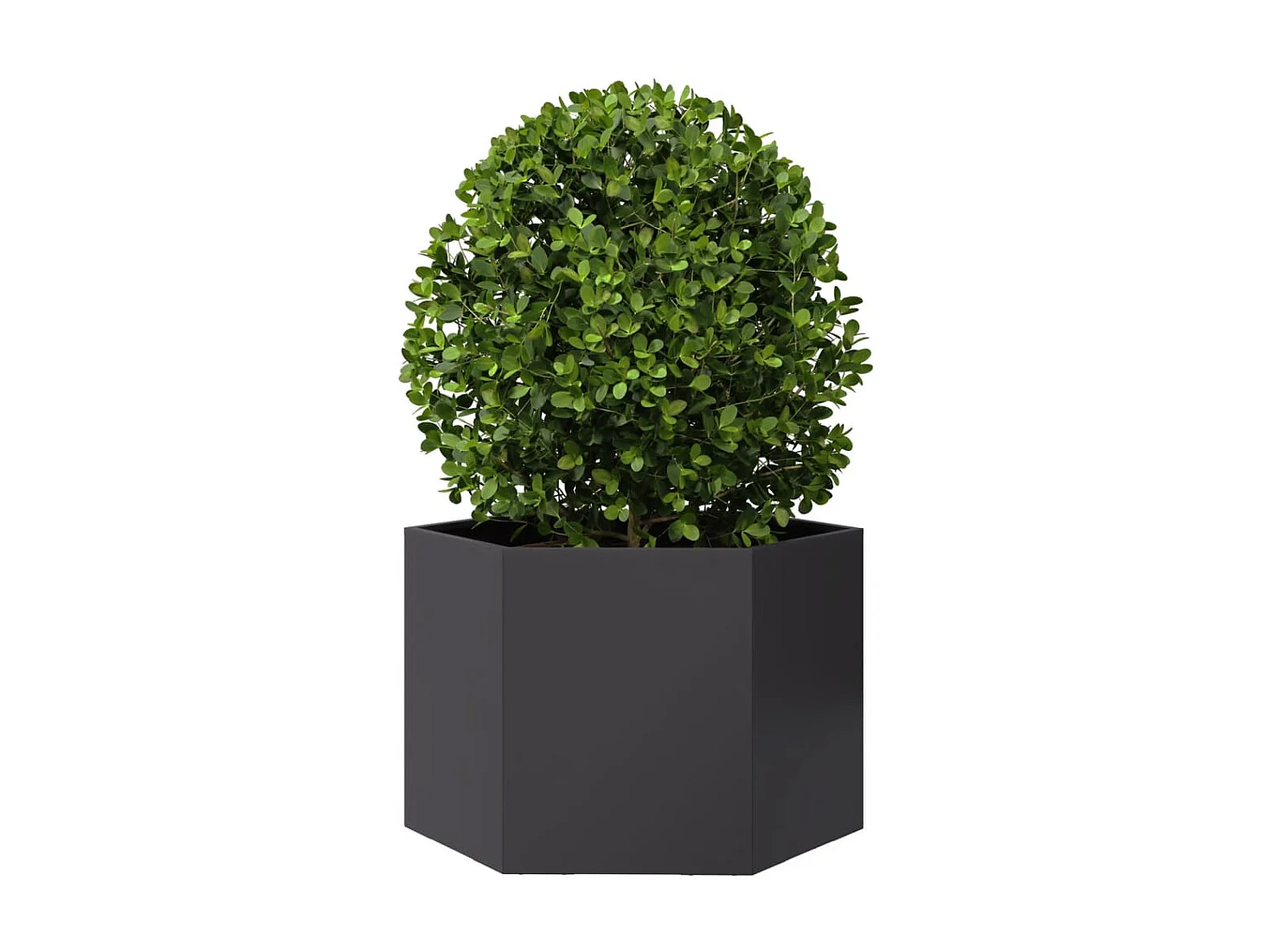 Plantenbak zeshoek 69x60x45 cm staal zwart
