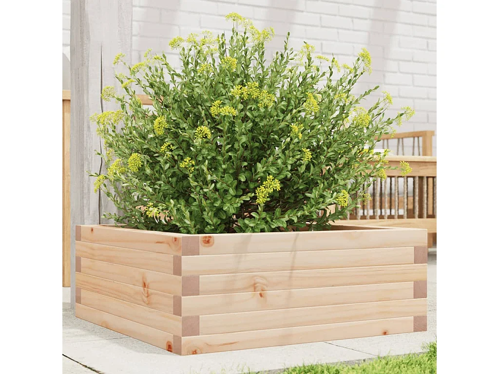 Jardinière 60x60x23 cm bois de pin massif