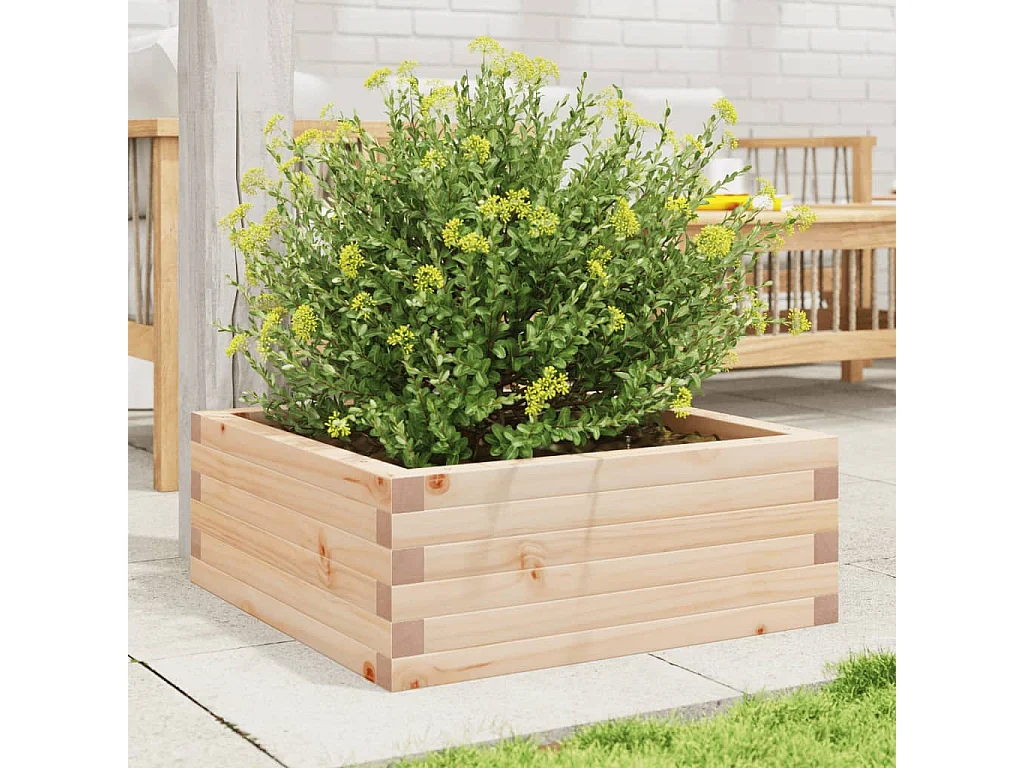 Jardinière 60x60x23 cm bois de pin massif