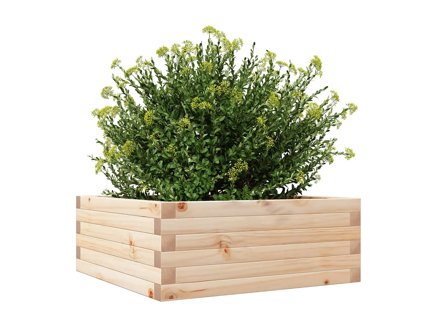 Jardinière 60x60x23 cm bois de pin massif