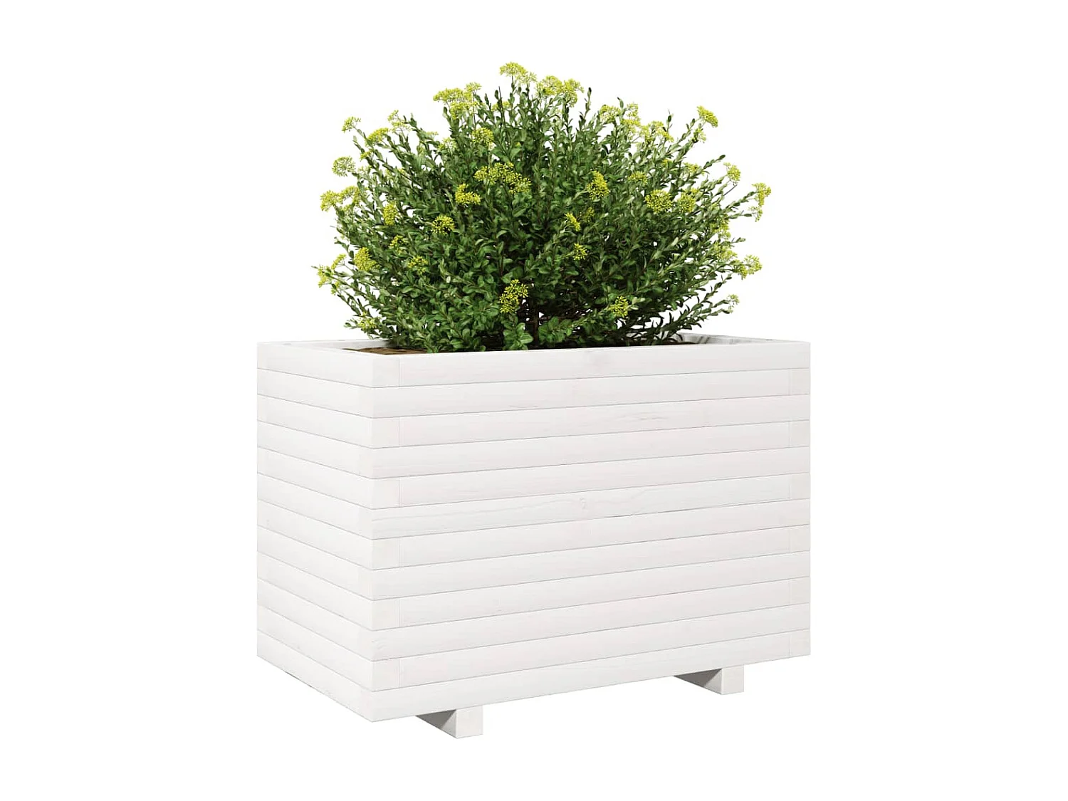 Jardinière blanc 70x40x49,5 cm bois de pin massif