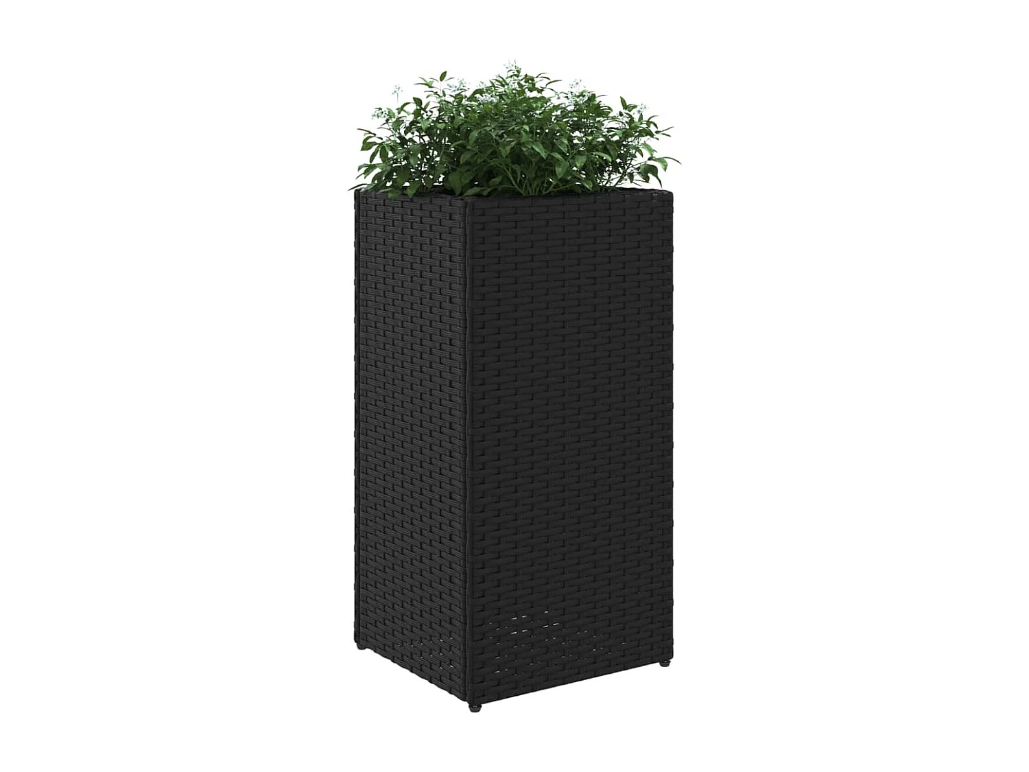 Pflanzkübel 2 Stk. Schwarz 30x30x60 cm Poly Rattan