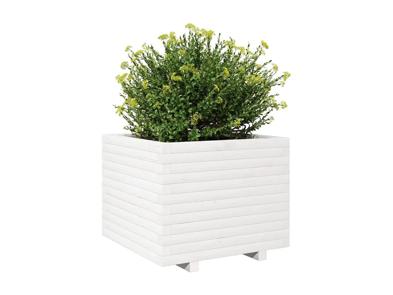 Jardinière blanc 60x60x49,5 cm bois de pin massif